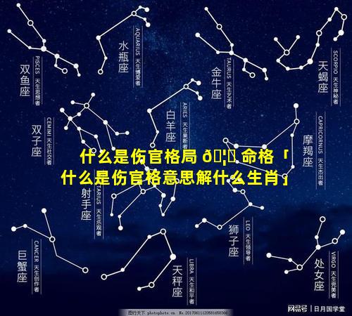 什么是伤官格局 🦉 命格「什么是伤官格意思解什么生肖」